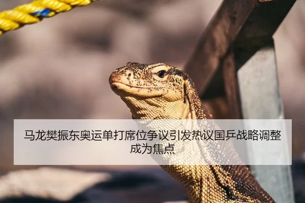 马龙樊振东奥运单打席位争议引发热议国乒战略调整成为焦点