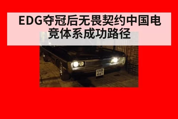 EDG夺冠后无畏契约中国电竞体系成功路径