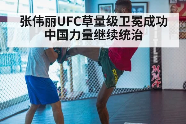 MMA training